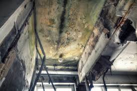 Professional Mold Removal & Remediation in Watertown, SD